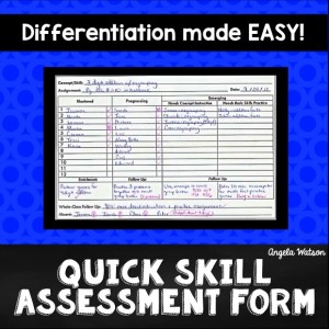 the-quick-skill-assessment-form1-300x300